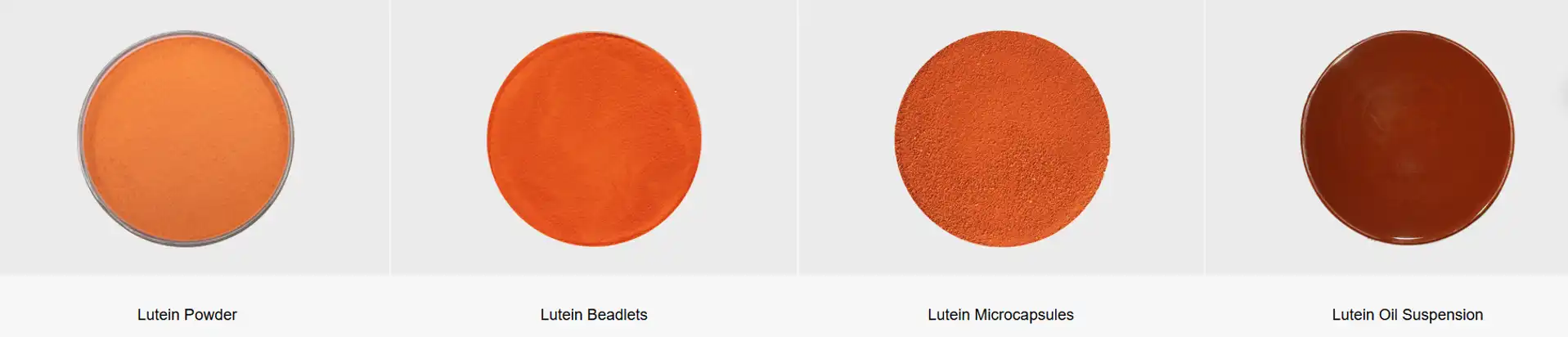 Microencapsulated Beta Carotene Powder Microencapsulated Beta Carotene Powder
