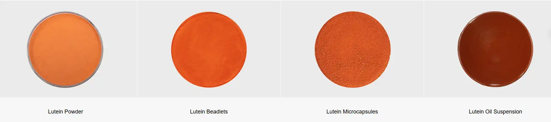 Microencapsulated Beta Carotene Powder Vs Oil Microencapsulated Beta Carotene Powder Vs Oil