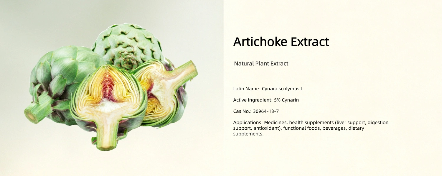Artichoke Extract Artichoke Extract