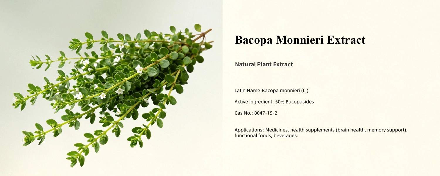 Bacopa Monnieri Extract Bacopa Monnieri Extract