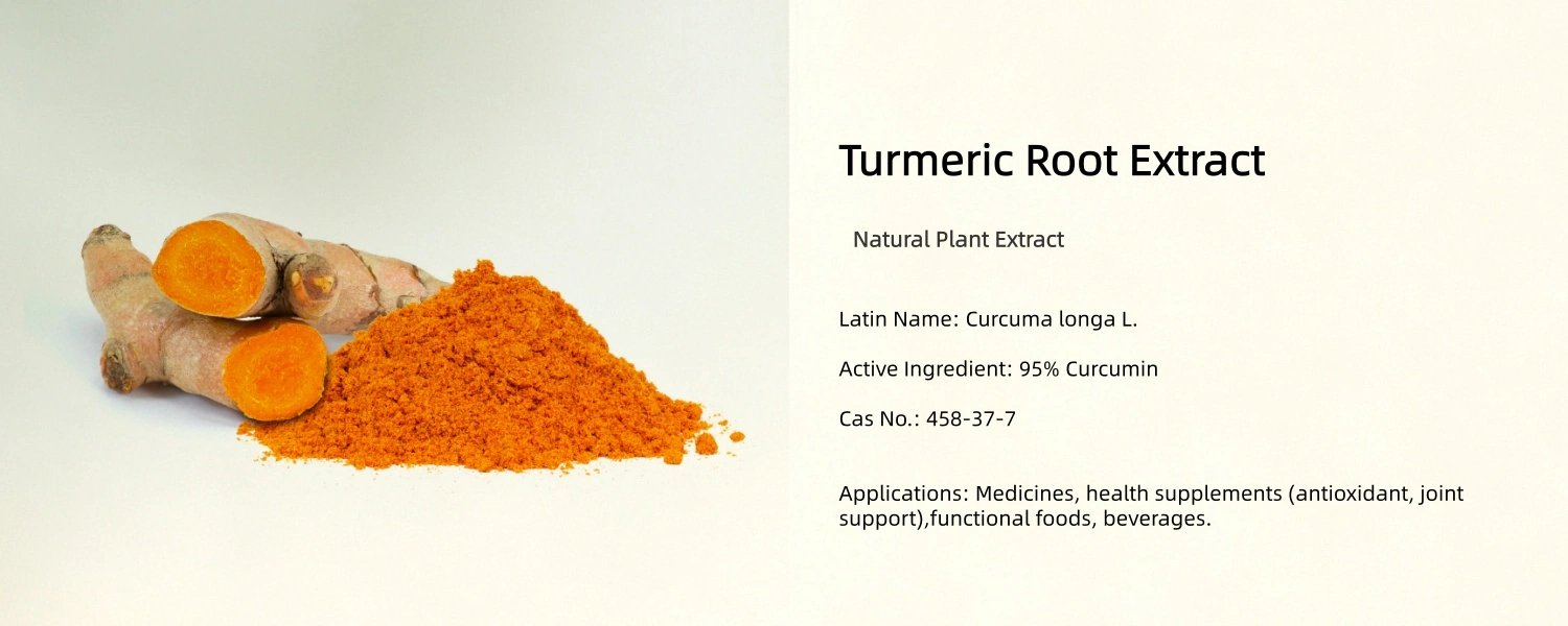 Turmeric Root Extract