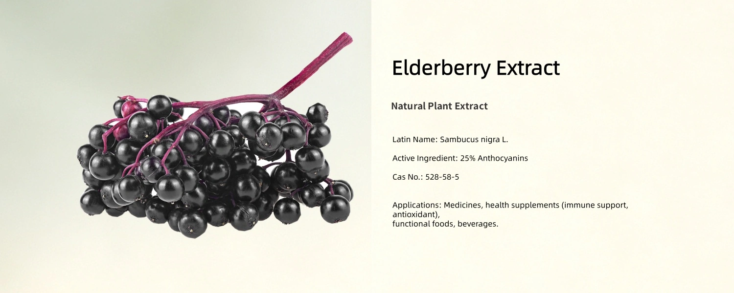 Elderberry Extract Elderberry Extract