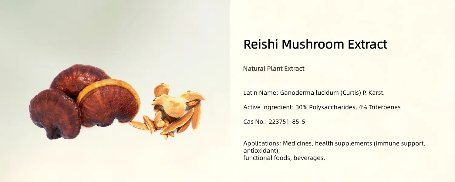 Reishi Mushroom Extract Powder Reishi Mushroom Extract Powder