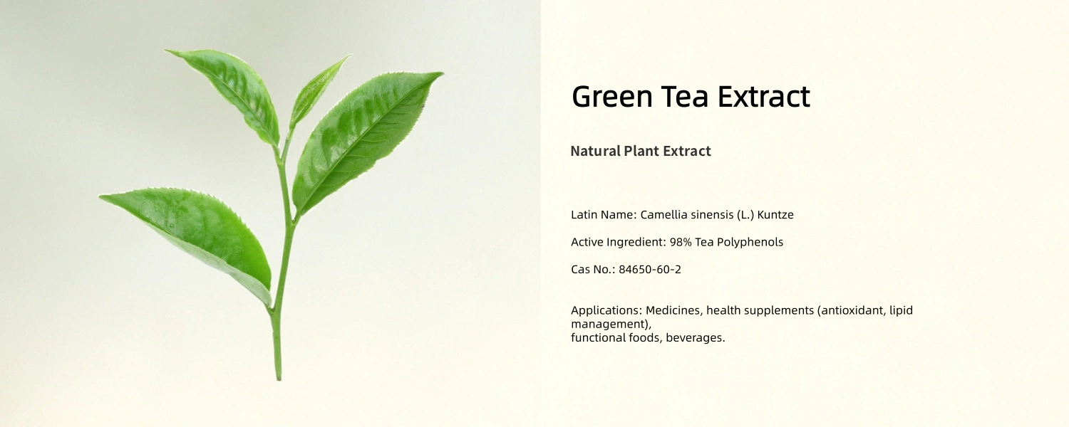 GreenTeaExtract