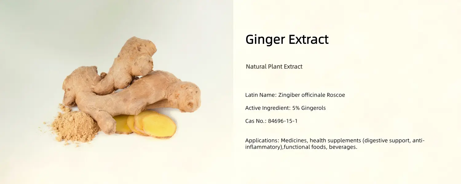Ginger Extract Powder Ginger Extract Powder