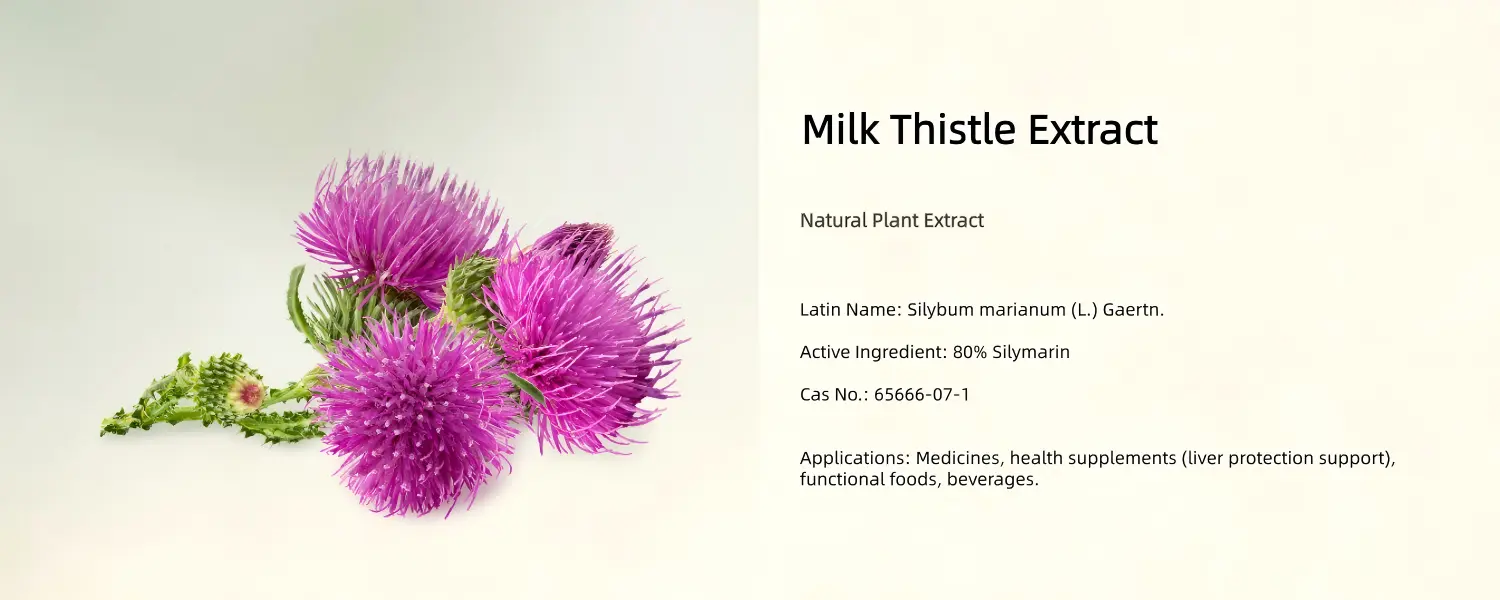 Milk Thistle Extract Powder Milk Thistle Extract Powder
