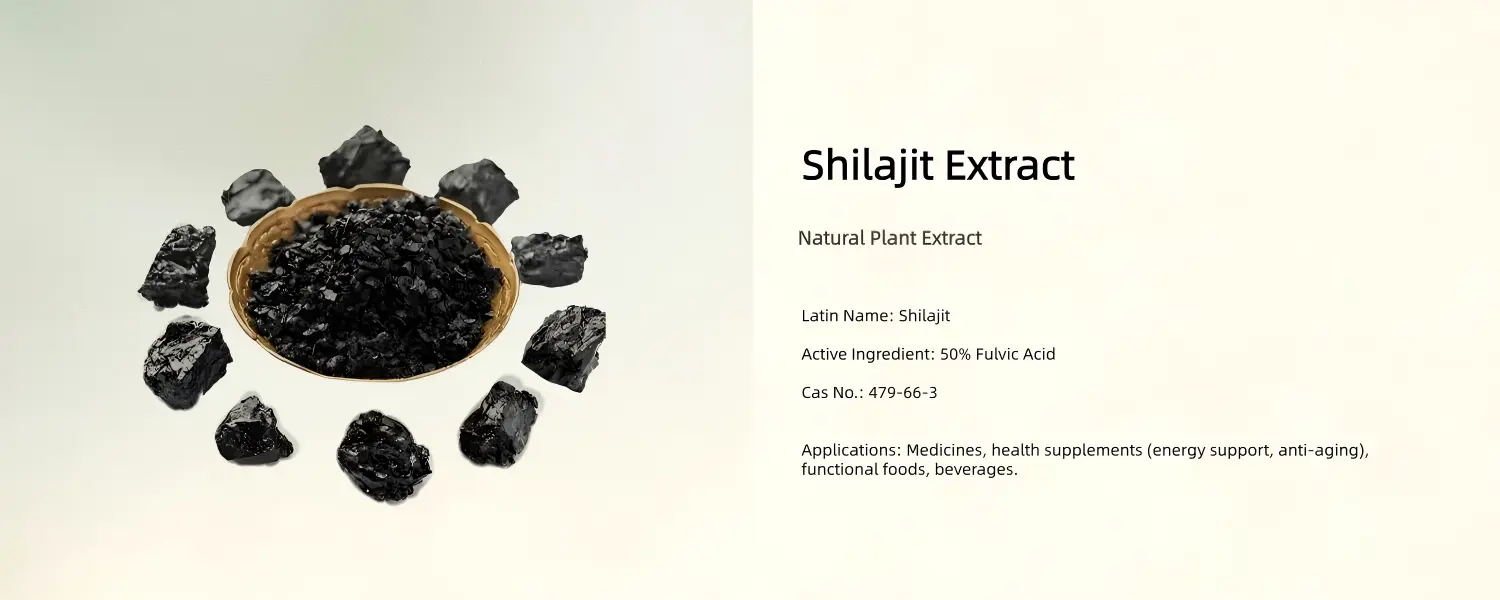 Shilajit Extract