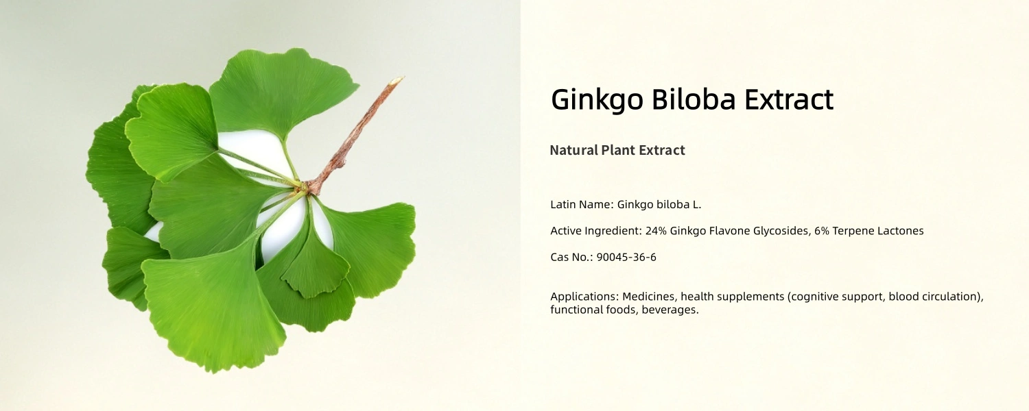 Ginkgo Biloba Extract