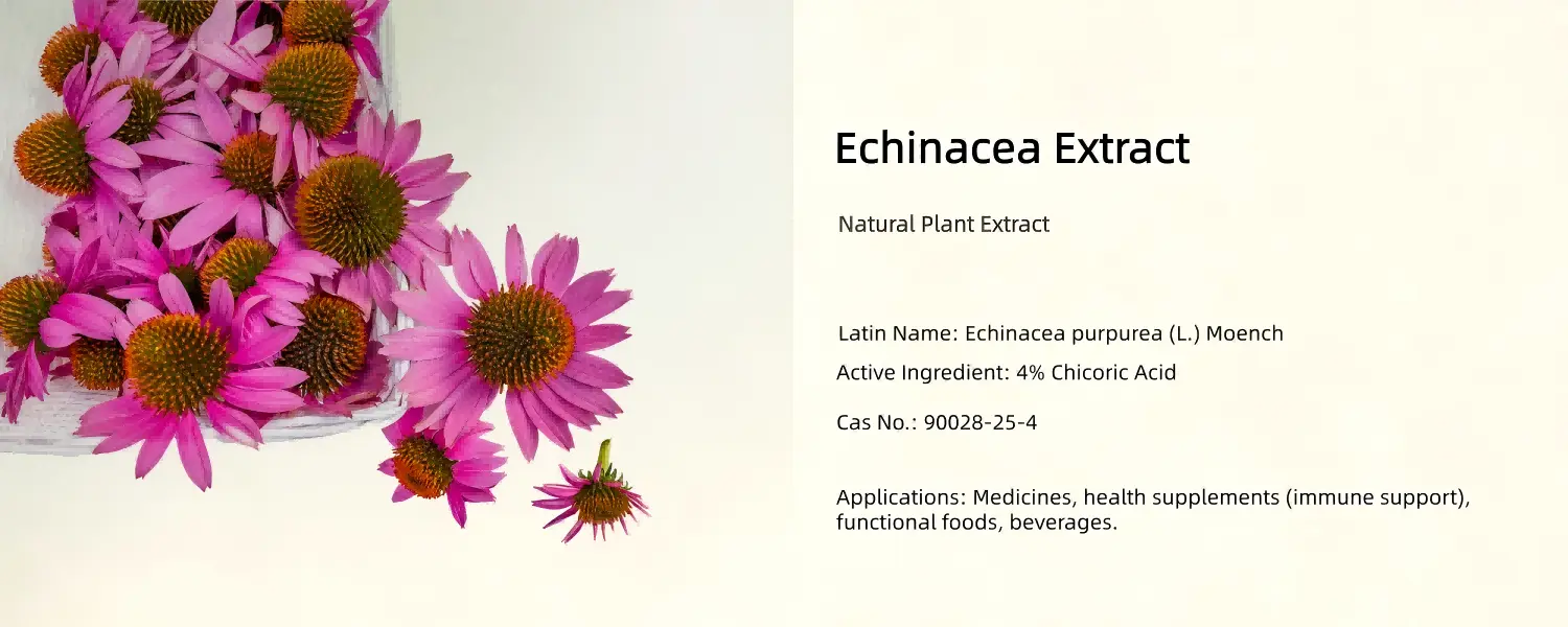 Echinacea Extract