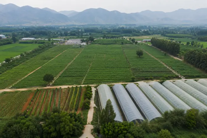 Global Planting & Supply Network