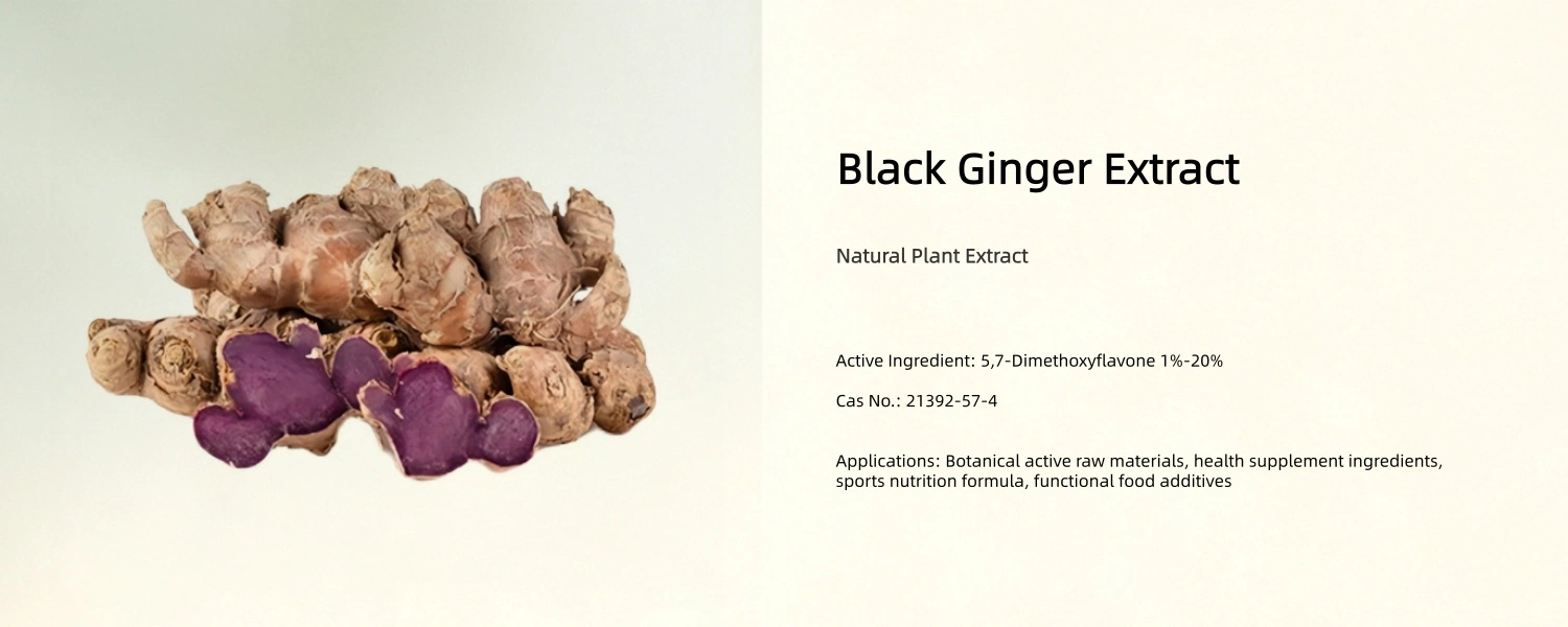 Black Ginger Extract