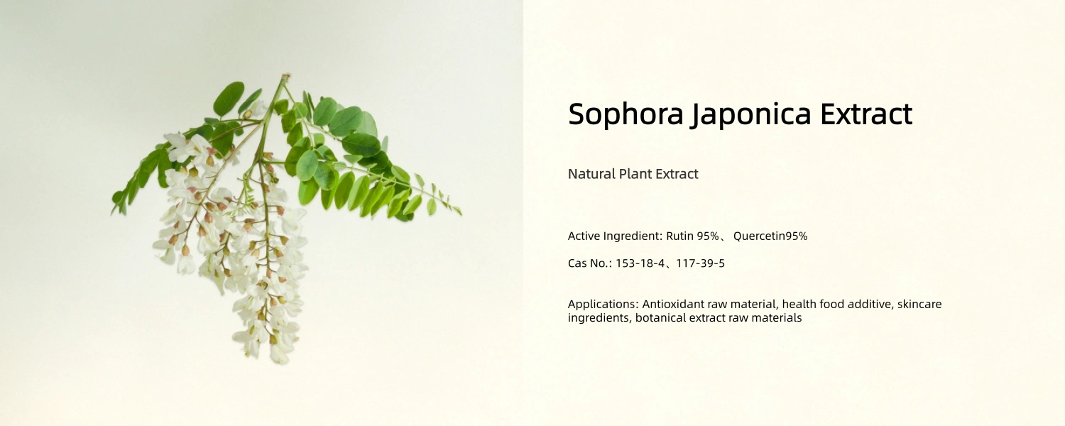 Sophora Japonica Extract Sophora Japonica Extract