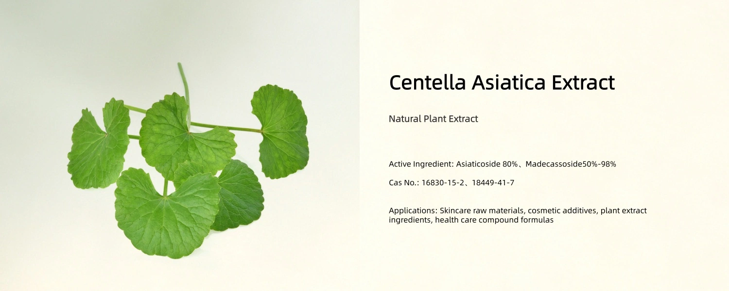 Centella Asiatica Extract Powder