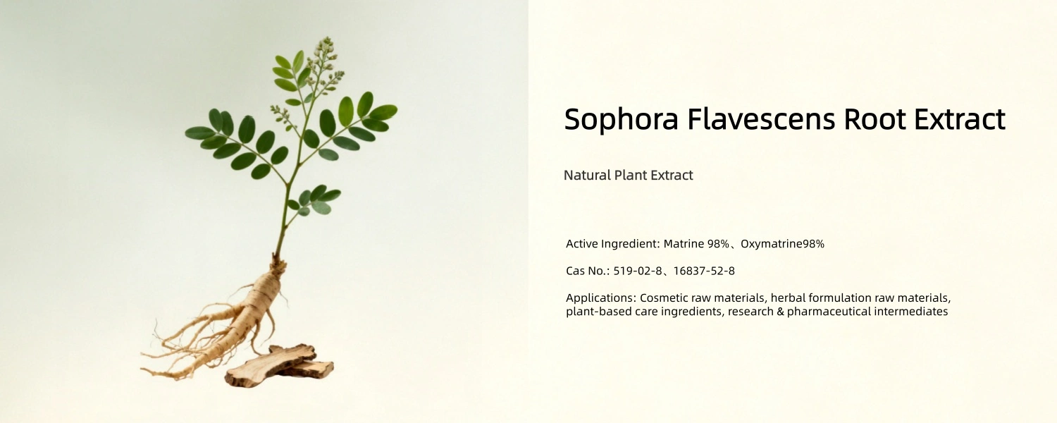 Sophora Flavescens Root Extract Sophora Flavescens Root Extract