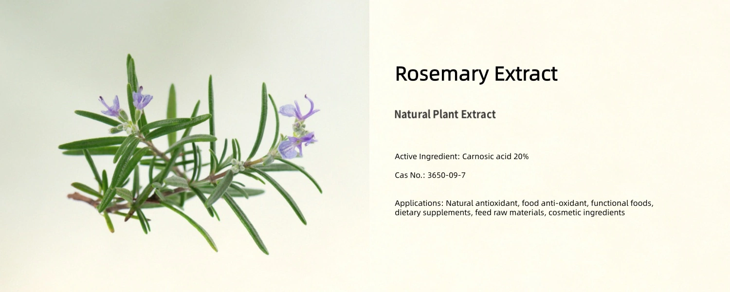 Rosemary