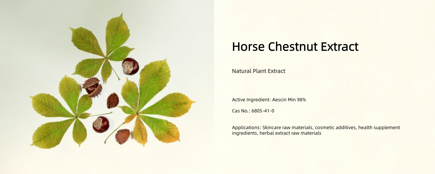Horse Chestnut Extract Horse Chestnut Extract