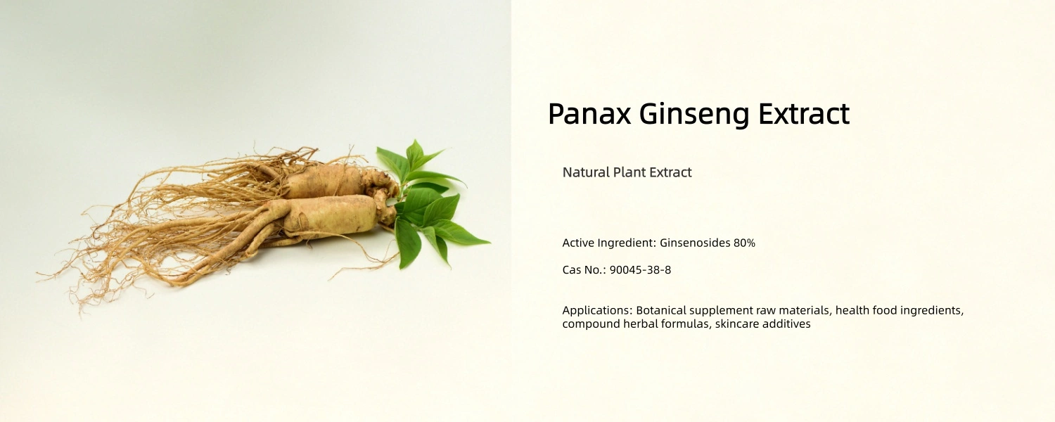Ginseng Panax Extract Powder Ginseng Panax Extract Powder