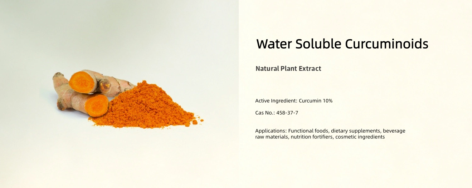 Water Soluble Curcuminoids