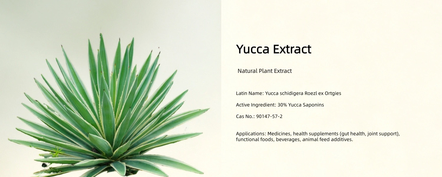 Yucca Extract Powder