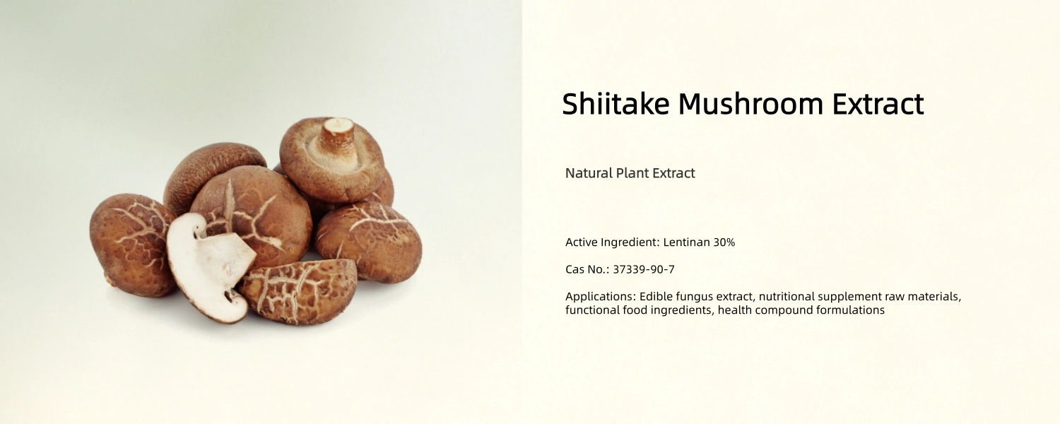 Shitake Mushroom Extract Powder Shitake Mushroom Extract Powder
