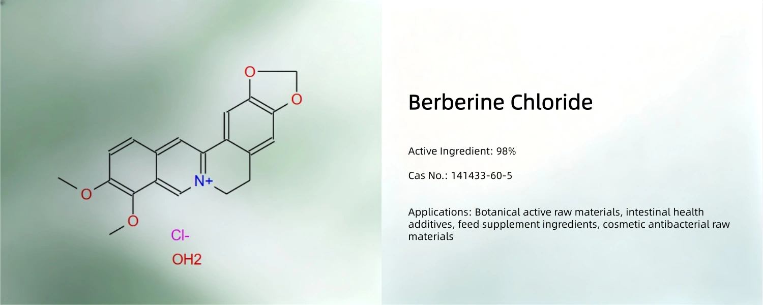 Berberine Berberine