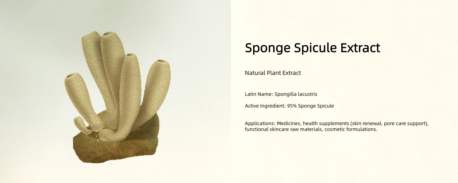 Sponge Spicule Extract