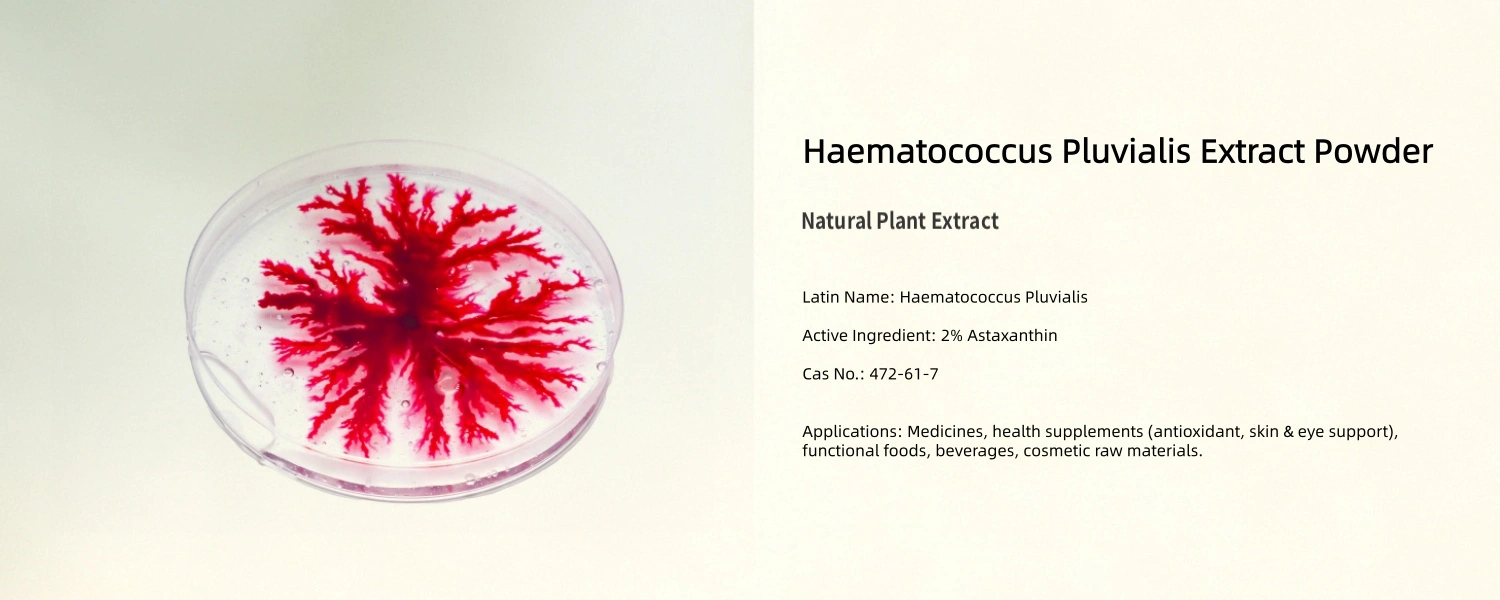 Haematococcus Pluvialis Extract