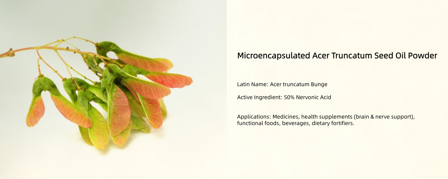 Acer Truncatum Seed Oil Powder Acer Truncatum Seed Oil Powder