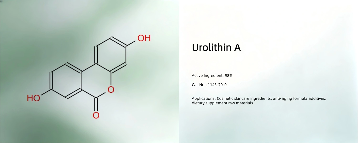 Urolithin A Urolithin A