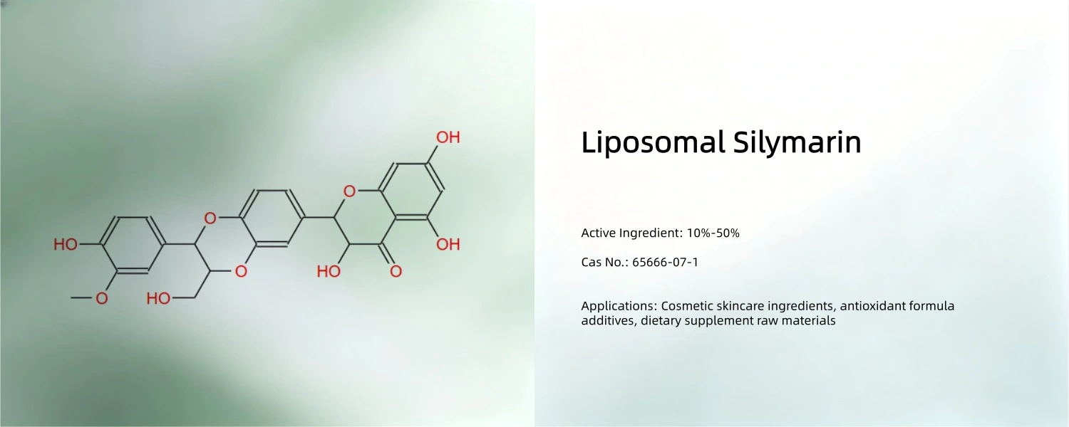 silymarin Powder silymarin Powder