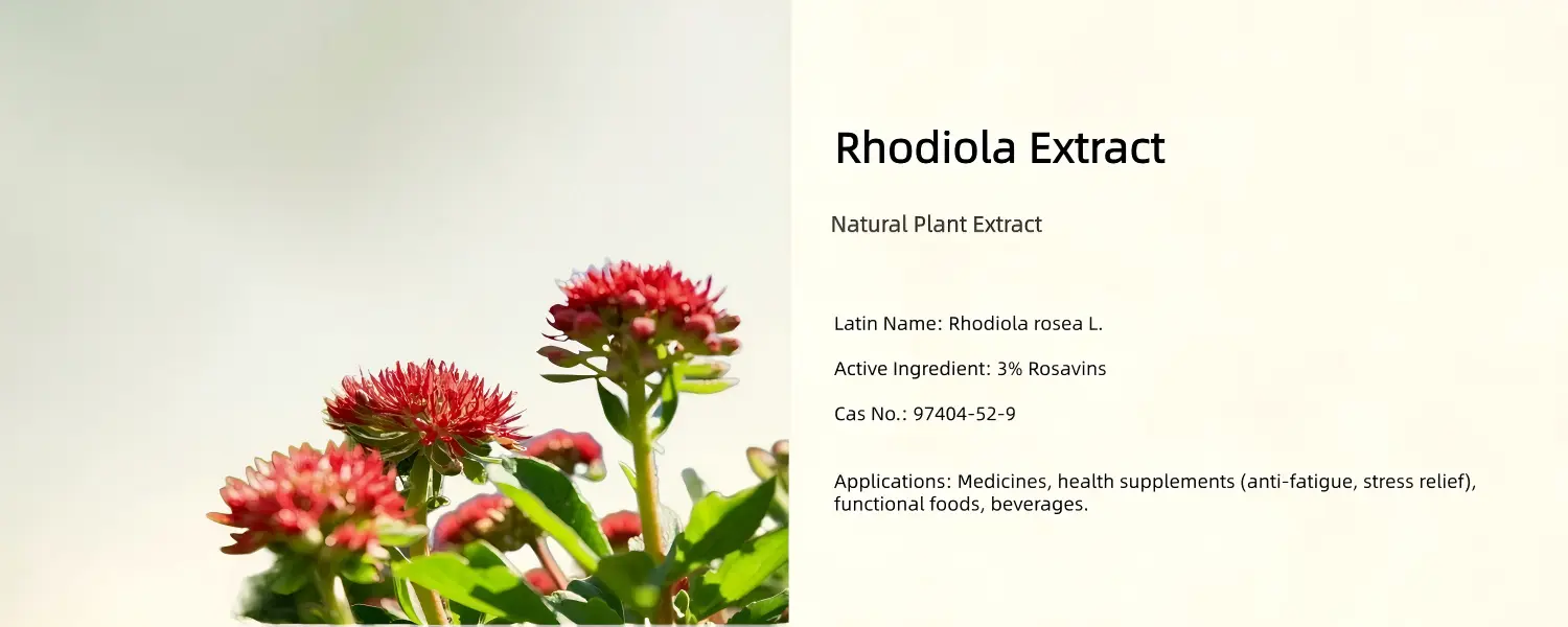 Rhodiola Rosea Extract Powder Rhodiola Rosea Extract Powder