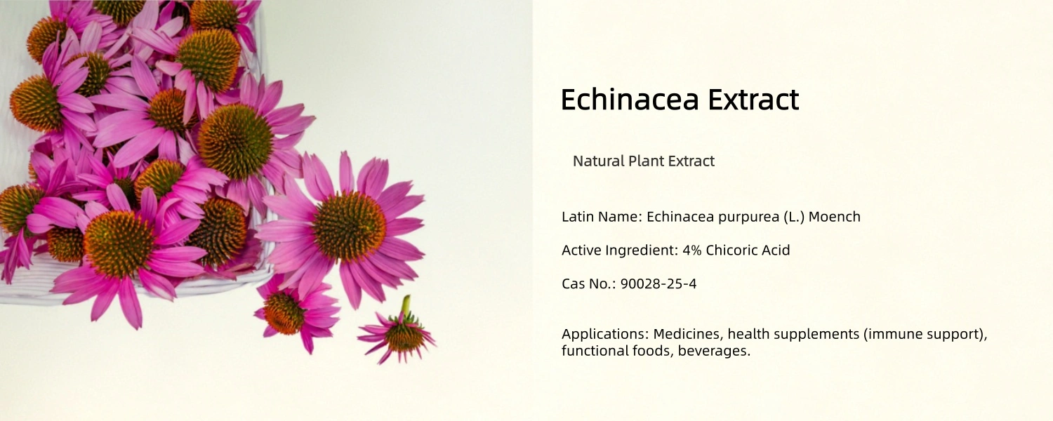  Pure Echinacea Extract