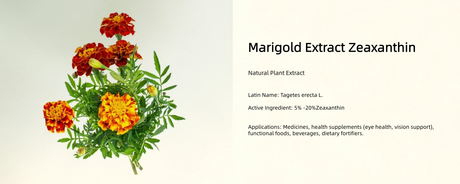 Marigold Extract Zeaxanthin