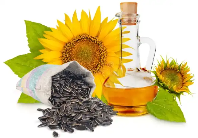 Microencapsulated Sunflower Seed Oil Powder 1 Microencapsulated Sunflower Seed Oil Powder 1