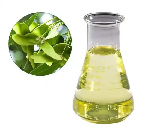 Microencapsulated Acer Truncatum Seed Oil Powder Microencapsulated Acer Truncatum Seed Oil Powder